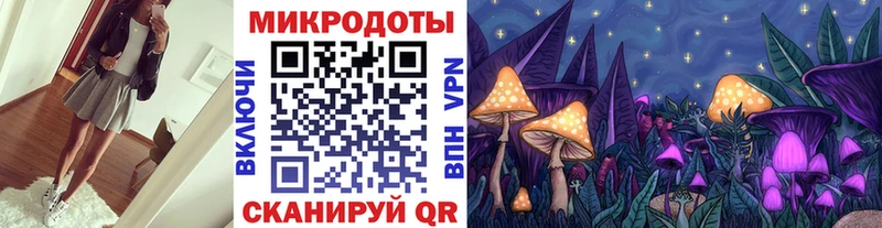 дарнет шоп  Тольятти  Псилоцибиновые грибы Psilocybine cubensis 